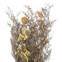 Voir la diapositive 2 : ATMOSPHERA Bouquet de Fleurs Séchées  Nature  50cm Multicolore