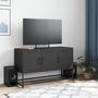Voir la diapositive 3 : VIDAXL Meuble TV noir 100,5x39x60,5 cm acier
