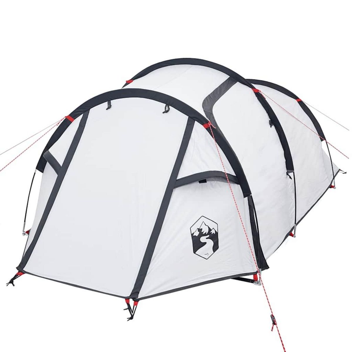 VIDAXL Tente de camping tunnel 2 personnes tissu occultant impermeable