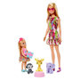 Voir la diapositive 3 : BARBIE Barbie coffret anniversaire Barbie et Chelsea