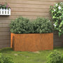 Voir la diapositive 1 : VIDAXL Jardiniere 62x30x29 cm acier corten