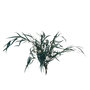 Voir la diapositive 1 : Paris Prix Bouquet d'Eucalyptus  Sauvage Séché  75cm Vert