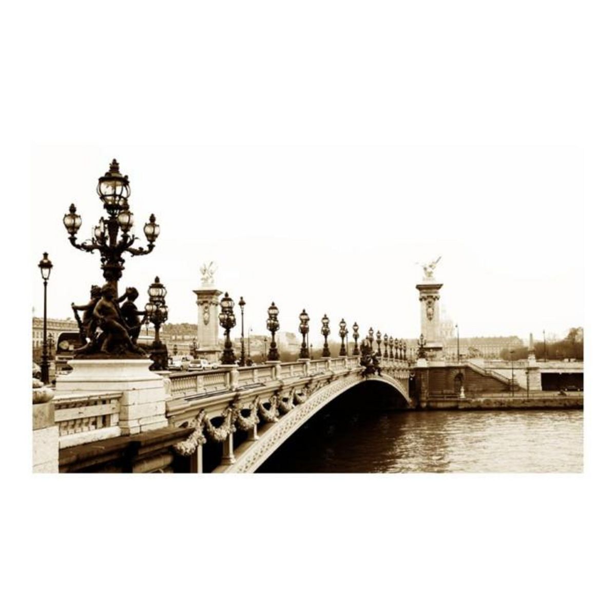 Paris Prix Papier Peint  Pont Alexandre III, Paris II  270x450cm