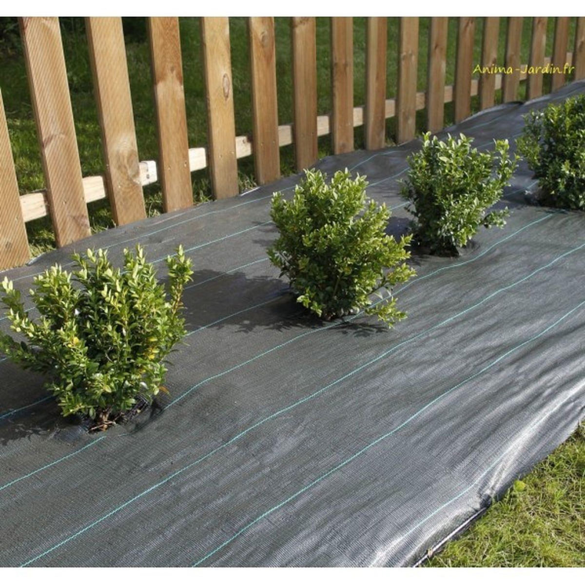 Nortene Toile de paillage tissée  Weedsol  - 1,50 x 100 m