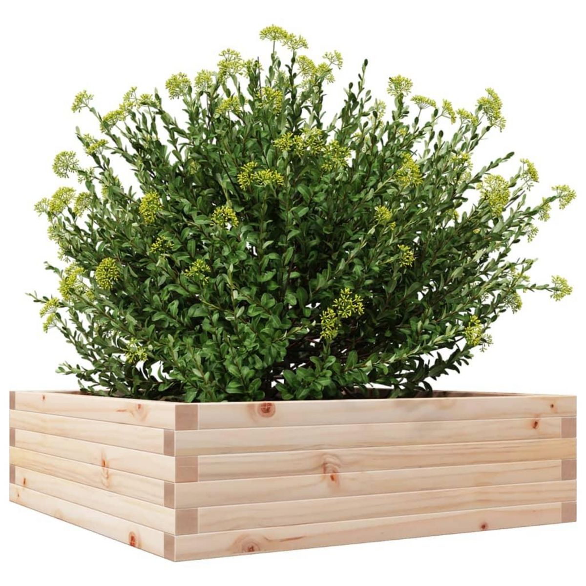 VIDAXL Jardiniere 80x80x23 cm bois de pin massif
