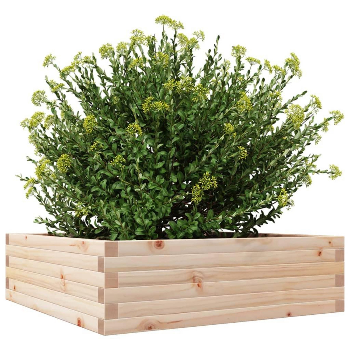 VIDAXL Jardiniere 80x80x23 cm bois de pin massif