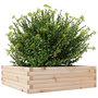 Voir la diapositive 4 : VIDAXL Jardiniere 80x80x23 cm bois de pin massif