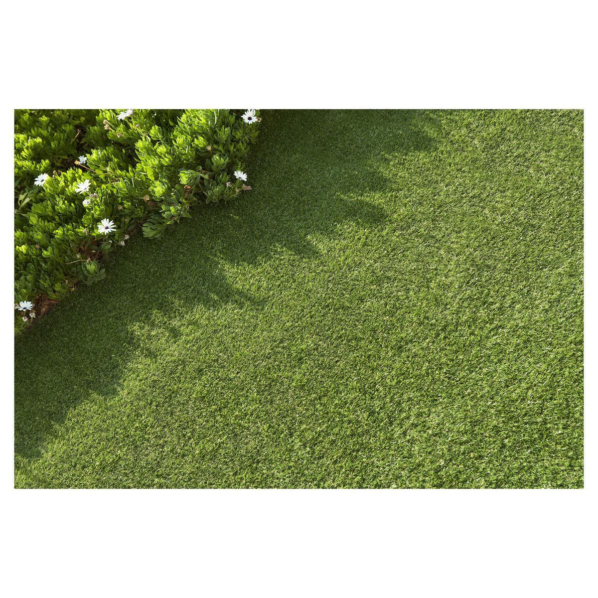 Catral Gazon artificiel CALPE 20mm 2x20m