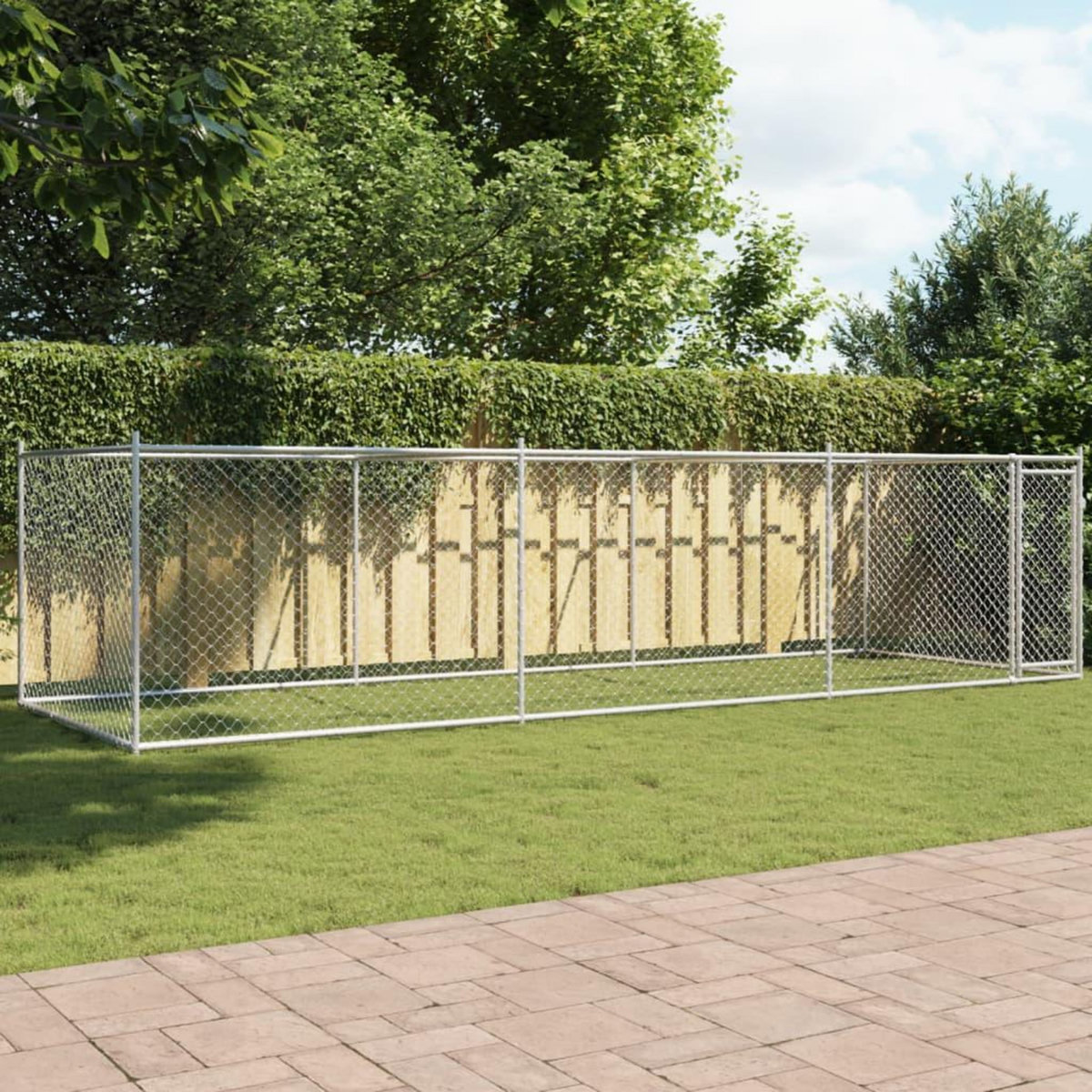 VIDAXL Cage pour chien avec porte gris 6x2x1,5 m acier galvanise