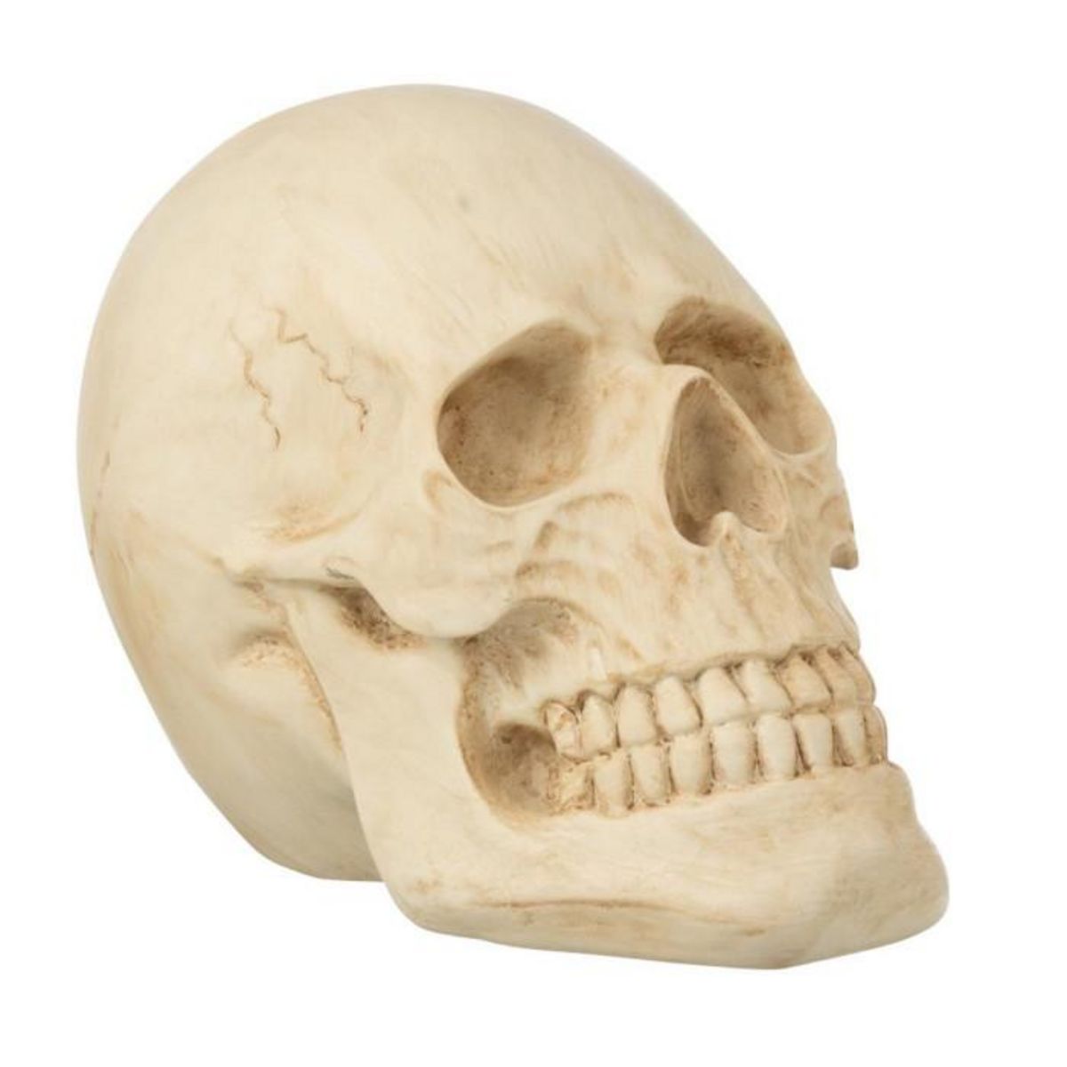 Paris Prix Statuette Déco  Crâne  21cm Naturel