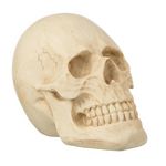 Paris Prix Statuette Déco  Crâne  21cm Naturel