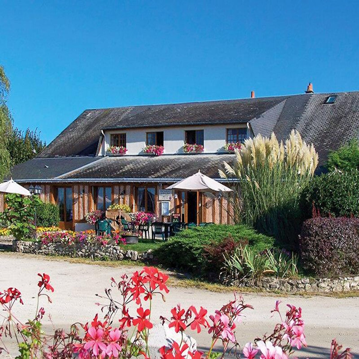 Smartbox 2 jours au ZooParc de Beauval en 2025 avec nuit à proximité pour 2 adultes et 1 enfant - Coffret Cadeau Multi-thèmes