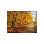 Voir la diapositive 2 : Paris Prix Papier Peint  Beech Forest