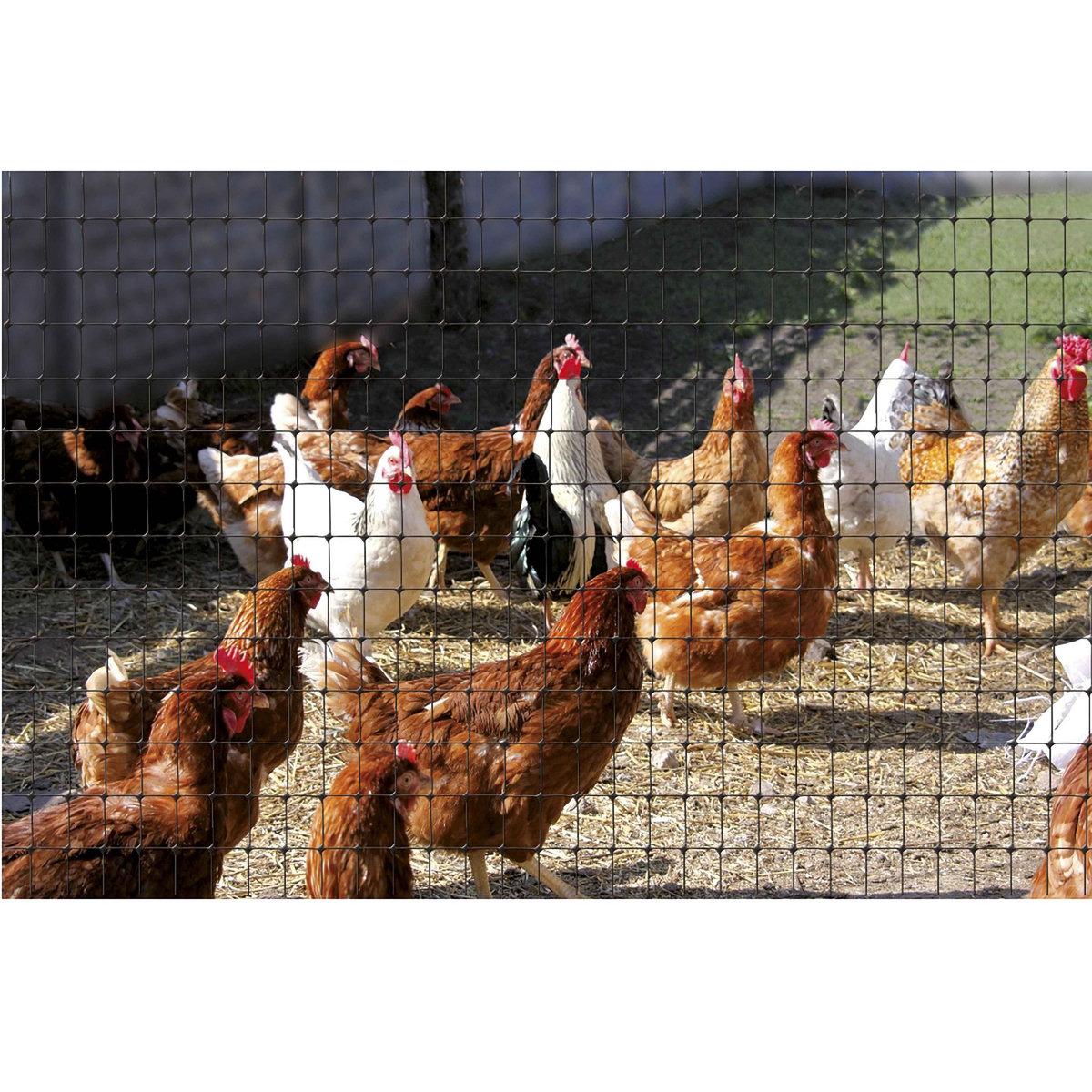  Grillage plastique noir 1x10m