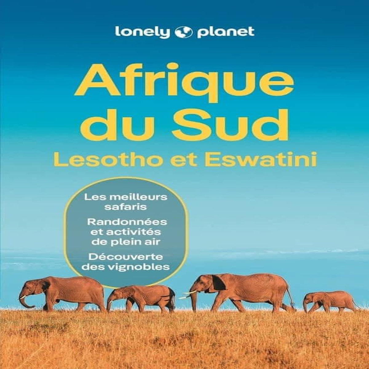 AFRIQUE DU SUD. LESOTHO ET ESWATINI, 12 EDITION, AVEC 1 PLAN DETACHABLE, Corne Lucy