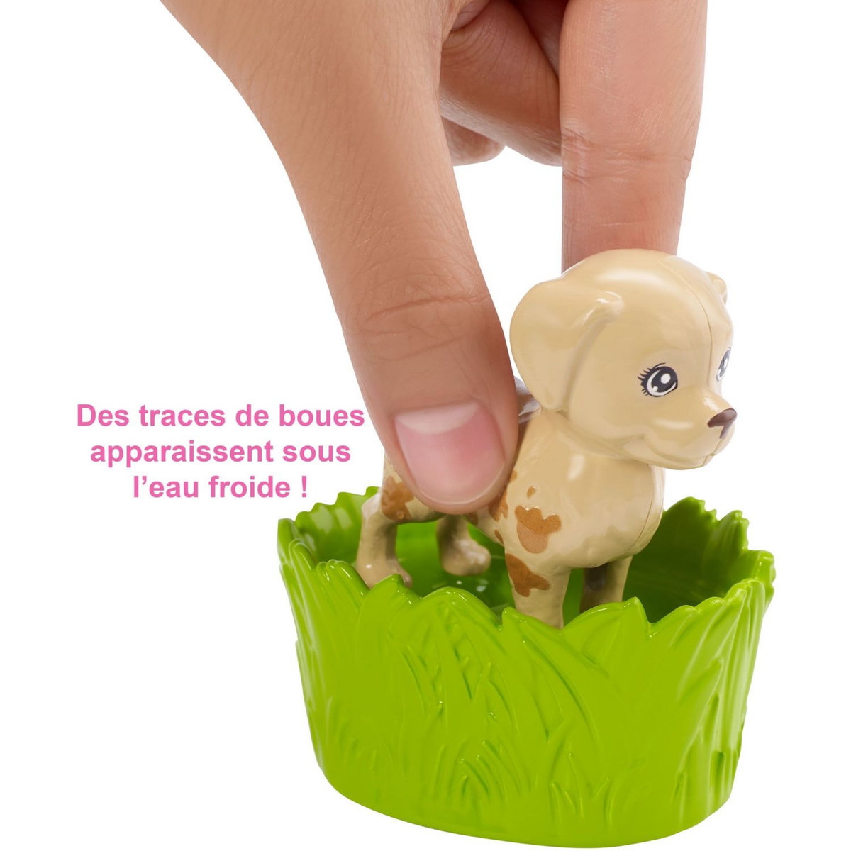 BARBIE  Barbie - Le bain des Animaux