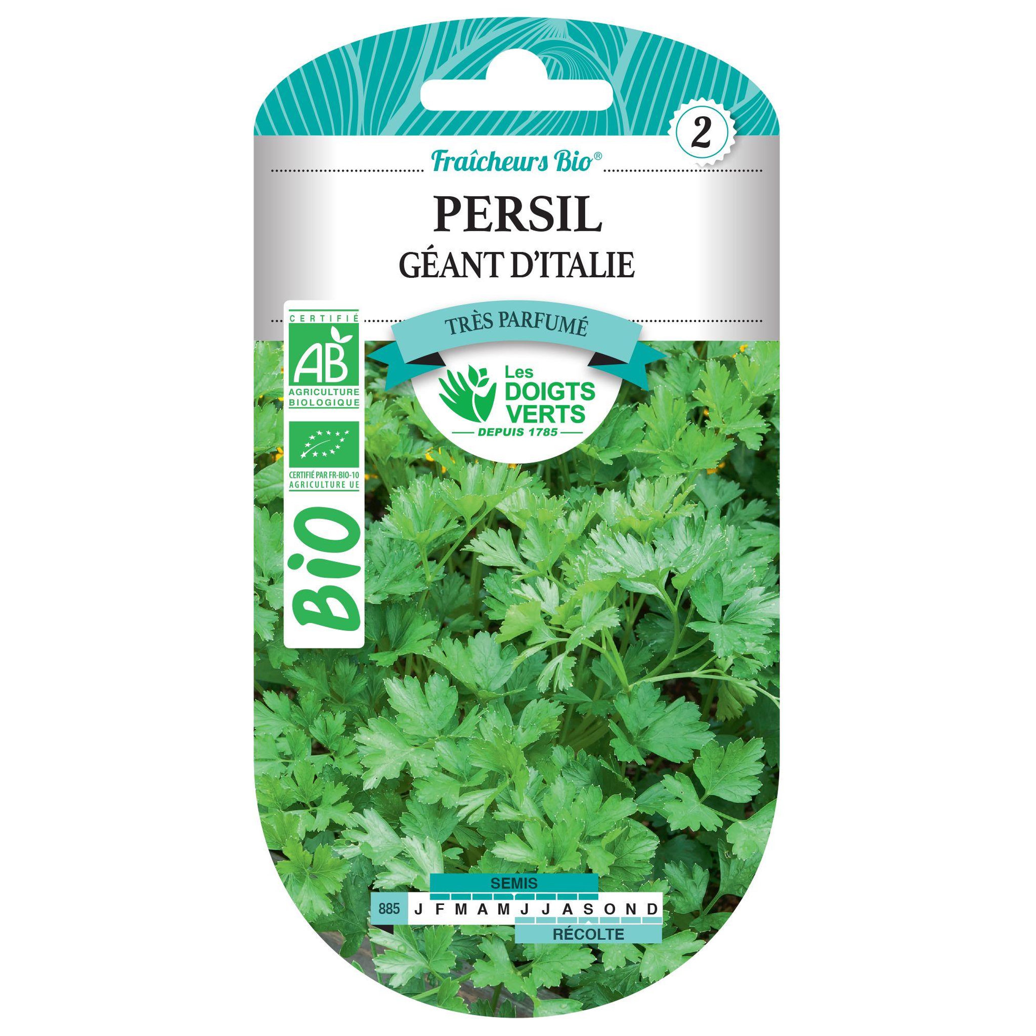 LES DOIGTS VERTS Graines persil géant d'Italie BIO Les Doigts Verts