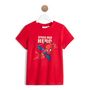 Voir la diapositive 1 : SPIDERMAN T-shirt manches courtes garçon