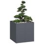 Voir la diapositive 1 : VIDAXL Jardiniere anthracite 80x80x80 cm acier