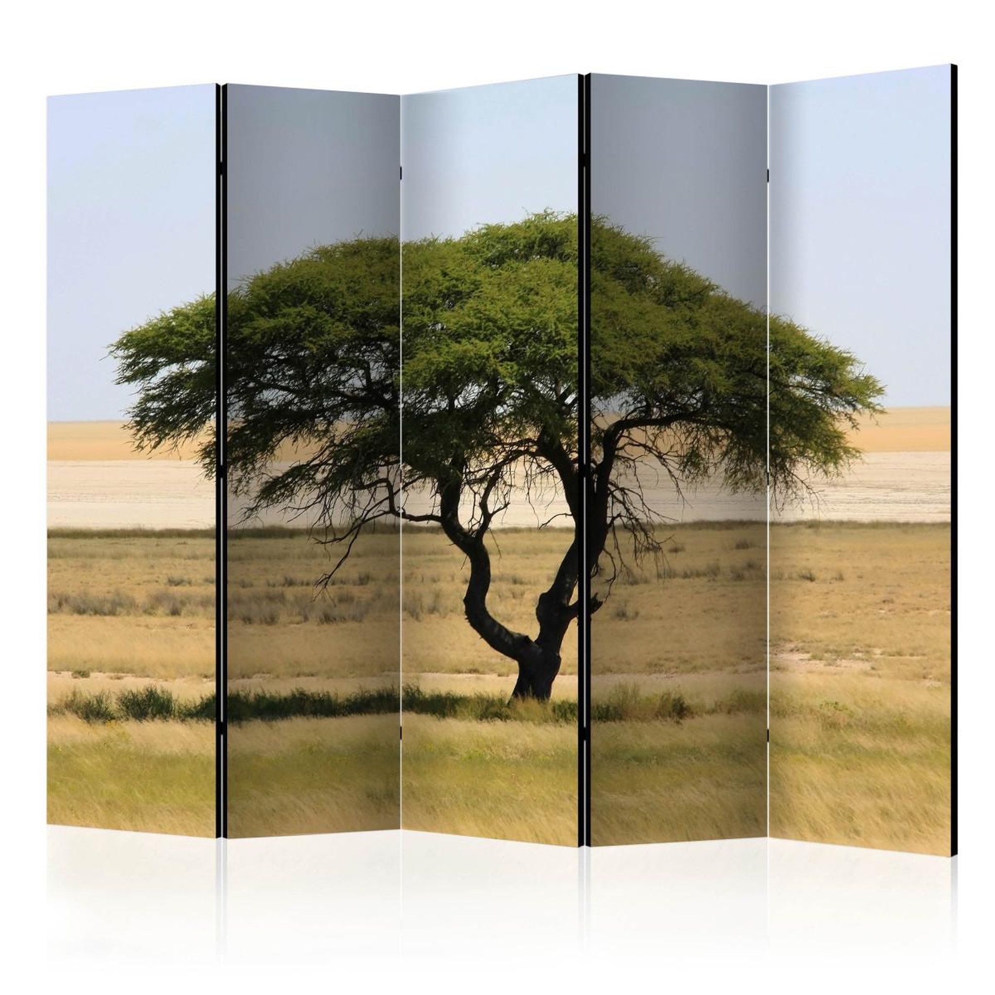 Paris Prix Paravent 5 volets  etosha national park, namibia  172x225cm