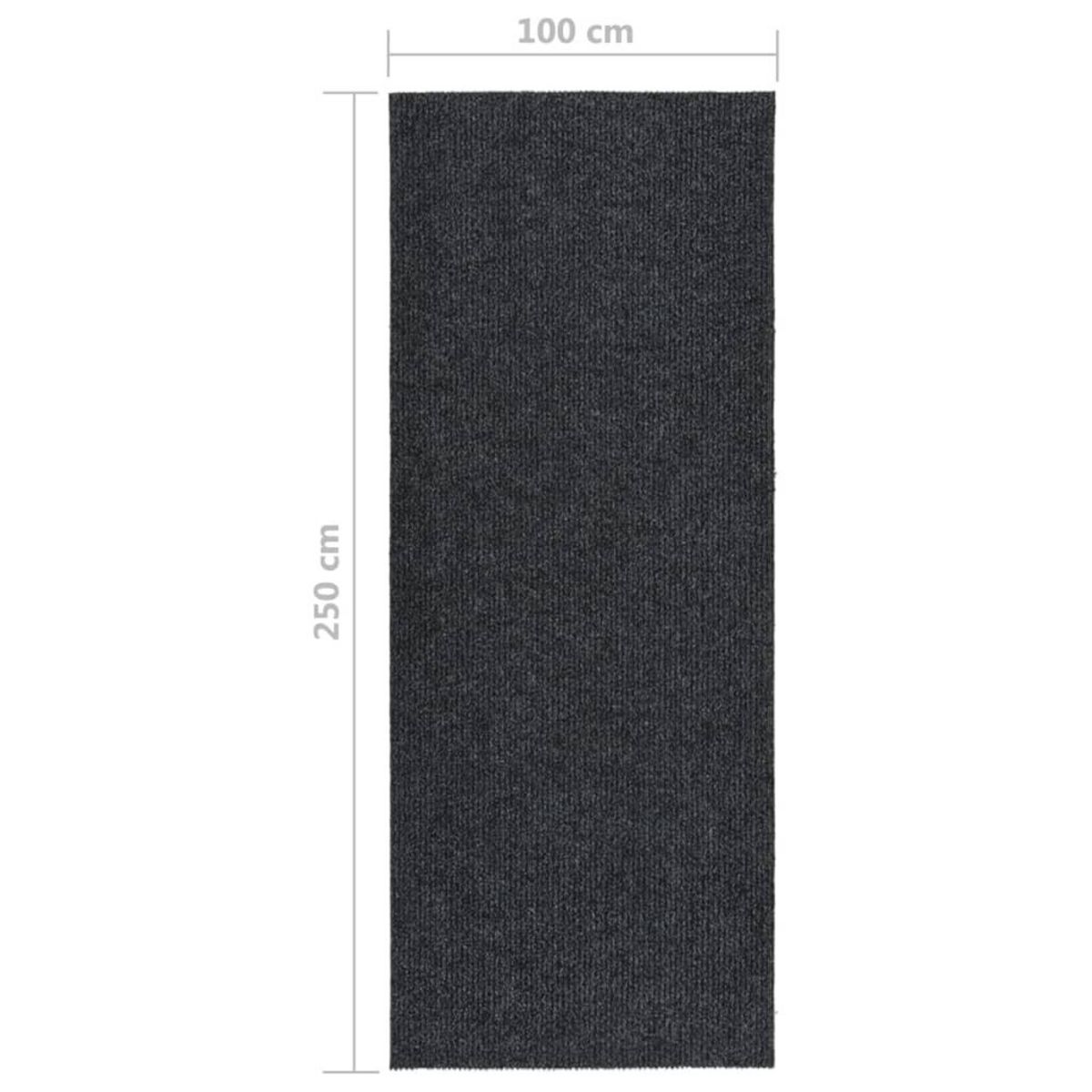 VIDAXL Tapis 100x250 cm Anthracite