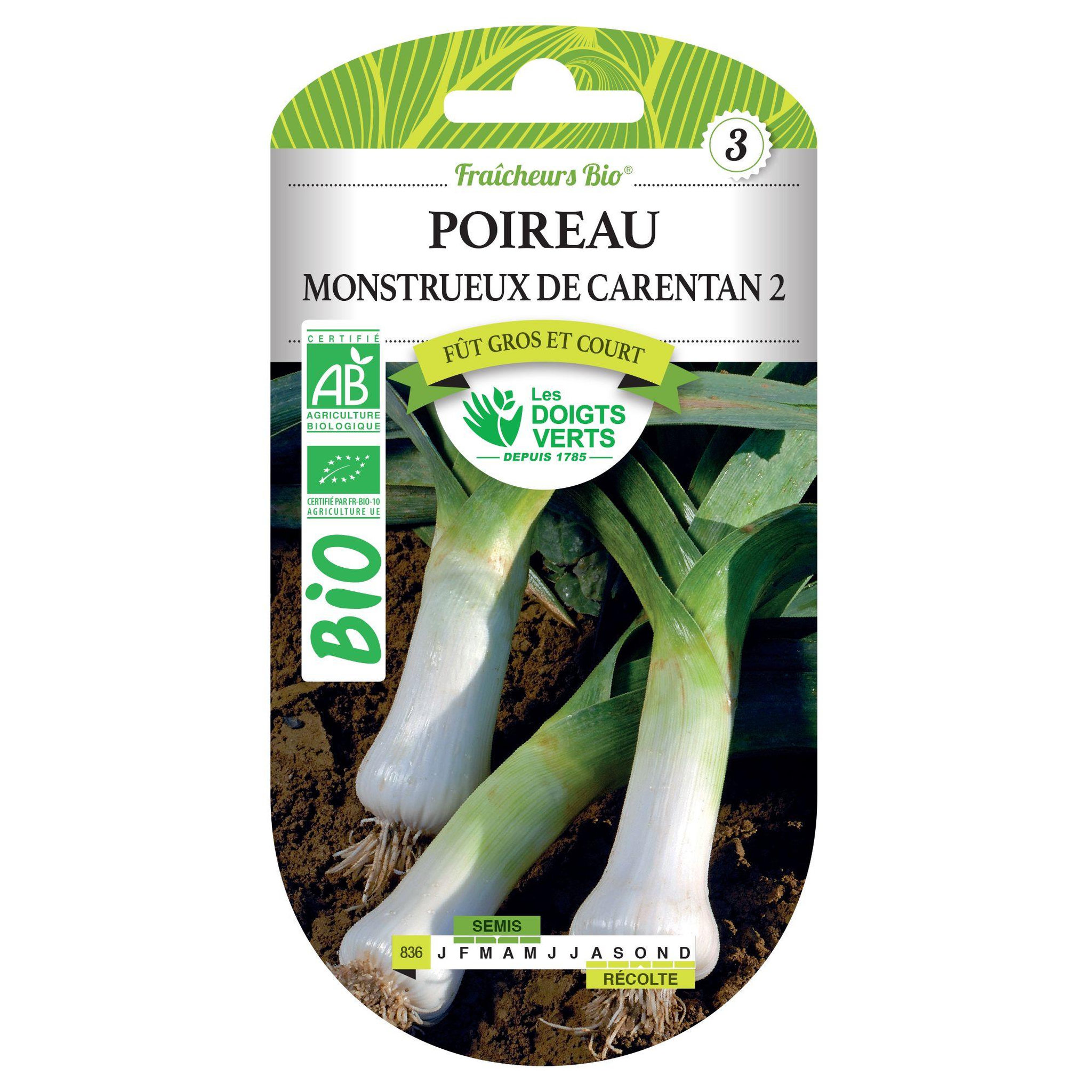 LES DOIGTS VERTS Graines de poireau monstrueux de Carentan 2 BIO Les Doigts Verts