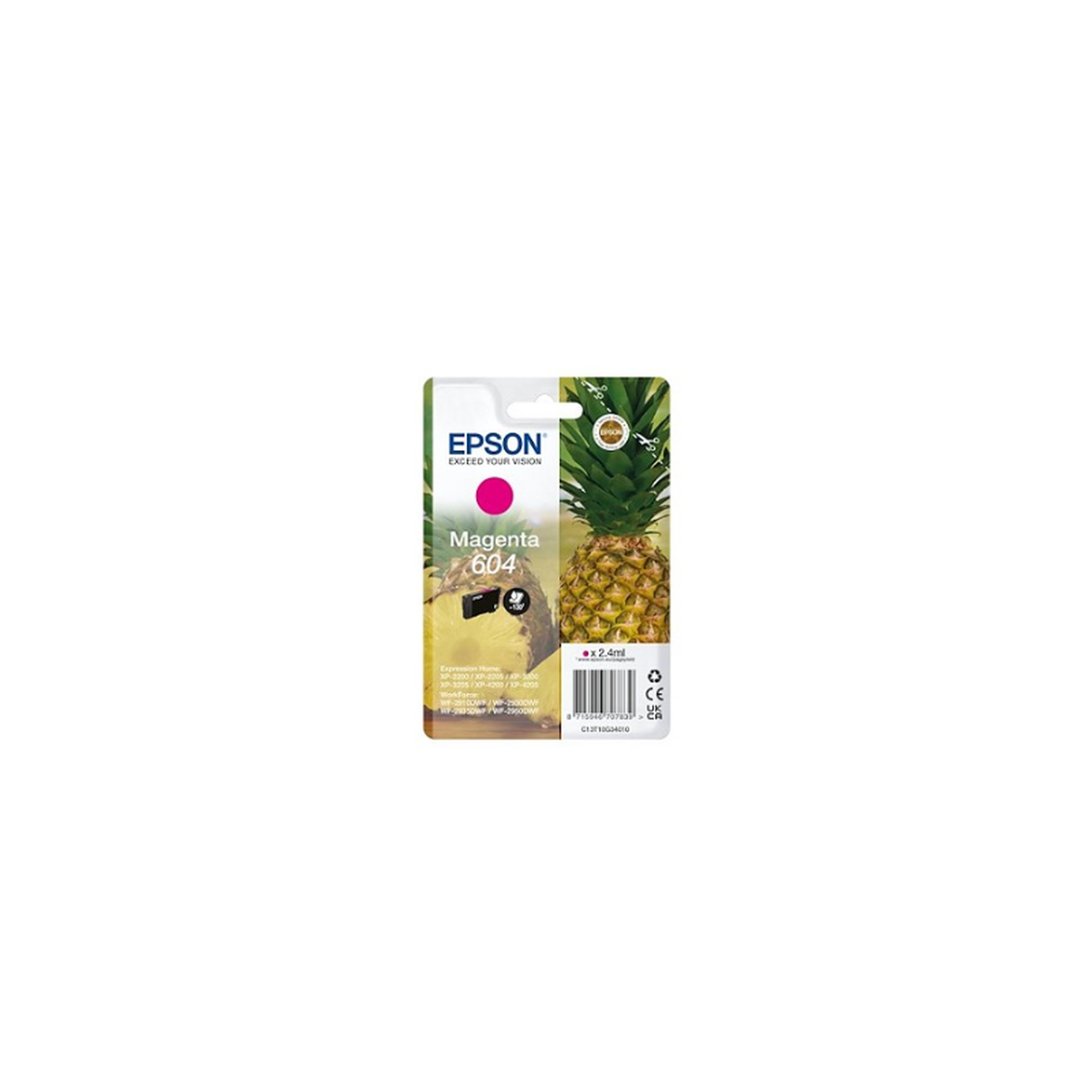 Epson Consommable EPSON C13T10G34010