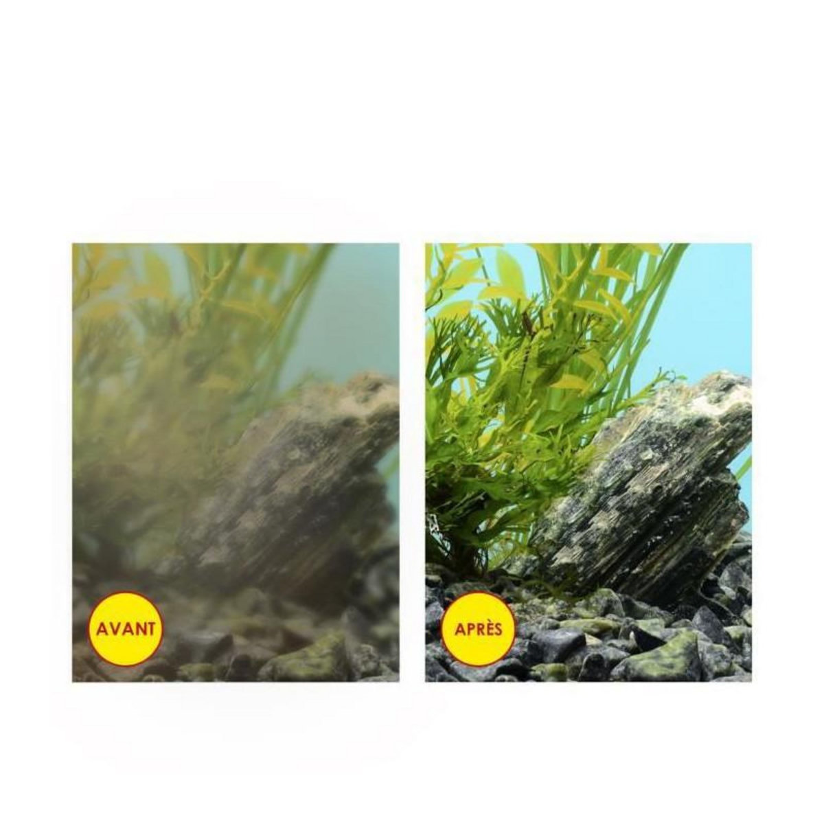 MARSHALL CIANO CLA60  rampe led 8W + transfo pour aqua 60 et aqua 80 CIANO