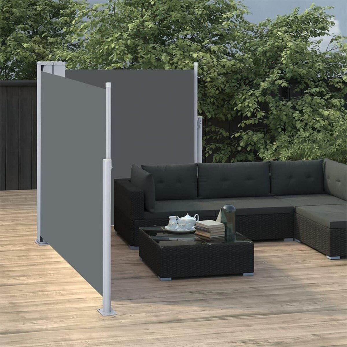 VIDAXL Auvent lateral retractable Anthracite 120 x 600 cm