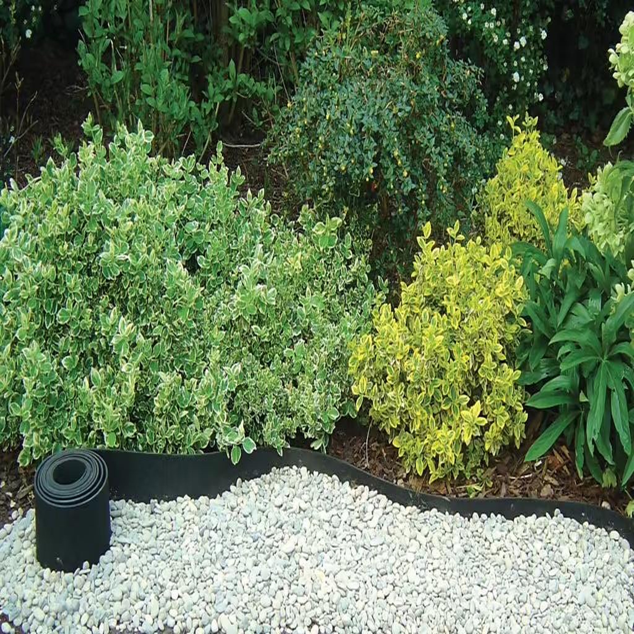 Nortene Bordure en caoutchouc  Selfix Bordura  - 0,13 x 10 m