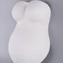 Rayher Kit DIY - Souvenirs de grossesse - Moulage en plâtre du ventre