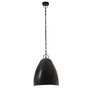 Voir la diapositive 4 : VIDAXL Lampe suspendue industrielle 25 W Noir Rond 32 cm E27