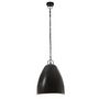 Voir la diapositive 4 : VIDAXL Lampe suspendue industrielle 25 W Noir Rond 32 cm E27
