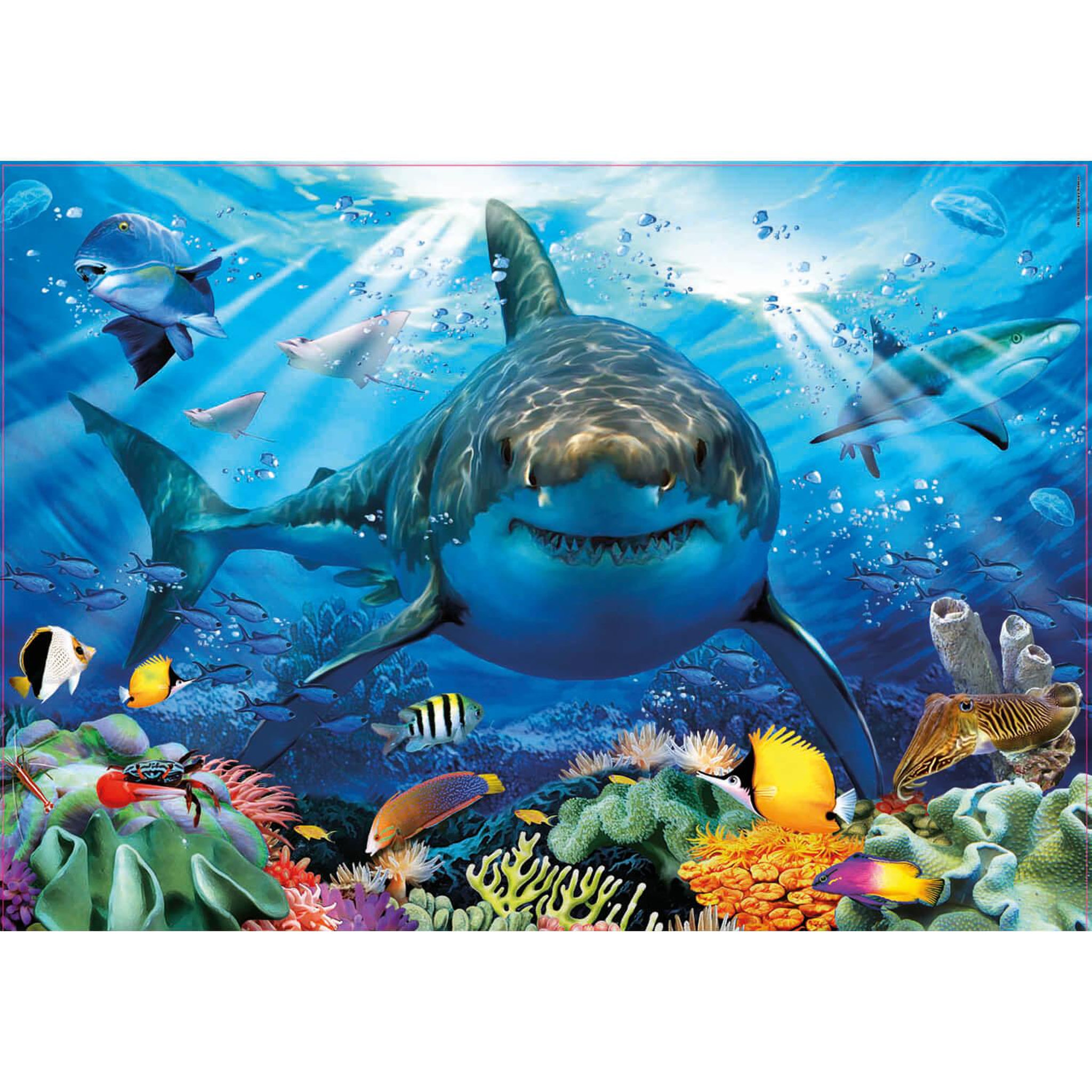 EDUCA Puzzle 500 pièces : Grand requin blanc