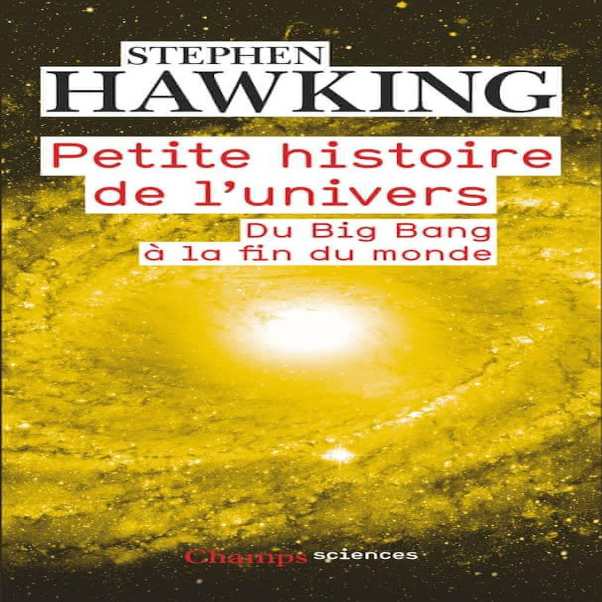 PETITE HISTOIRE DE L'UNIVERS. DU BIG BANG A LA FIN DU MONDE, Hawking Stephen