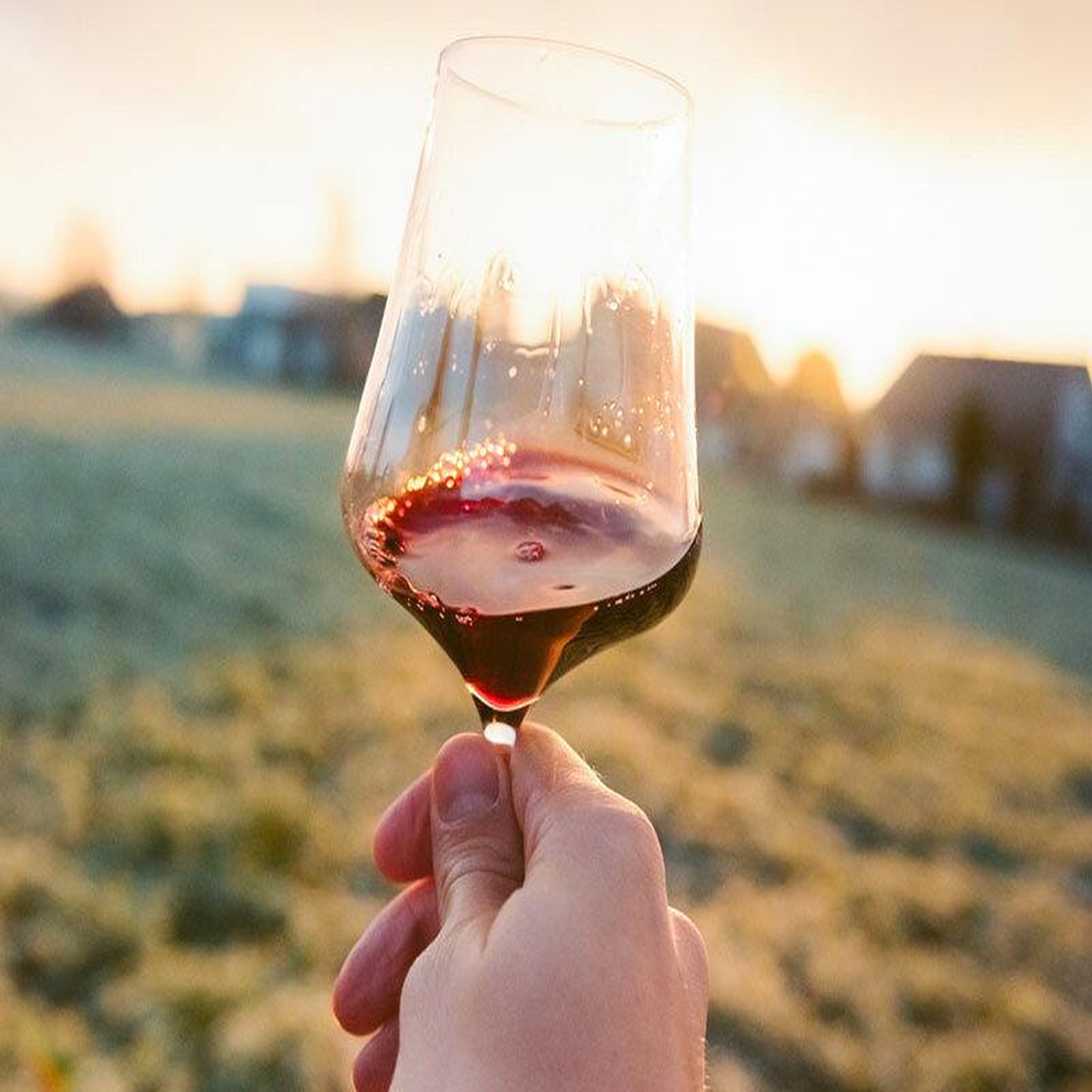 Voir la diapositive 3 : Smartbox Visite de vignoble en famille et dégustation près de Versailles - Coffret Cadeau Gastronomie