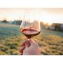 Voir la diapositive 3 : Smartbox Visite de vignoble en famille et dégustation près de Versailles - Coffret Cadeau Gastronomie