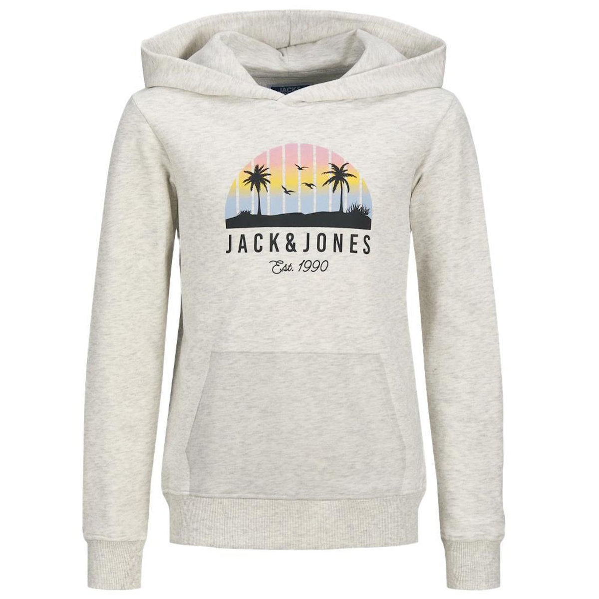 Jack & Jones Sweat Gris Garçon Jack & Jones Palm