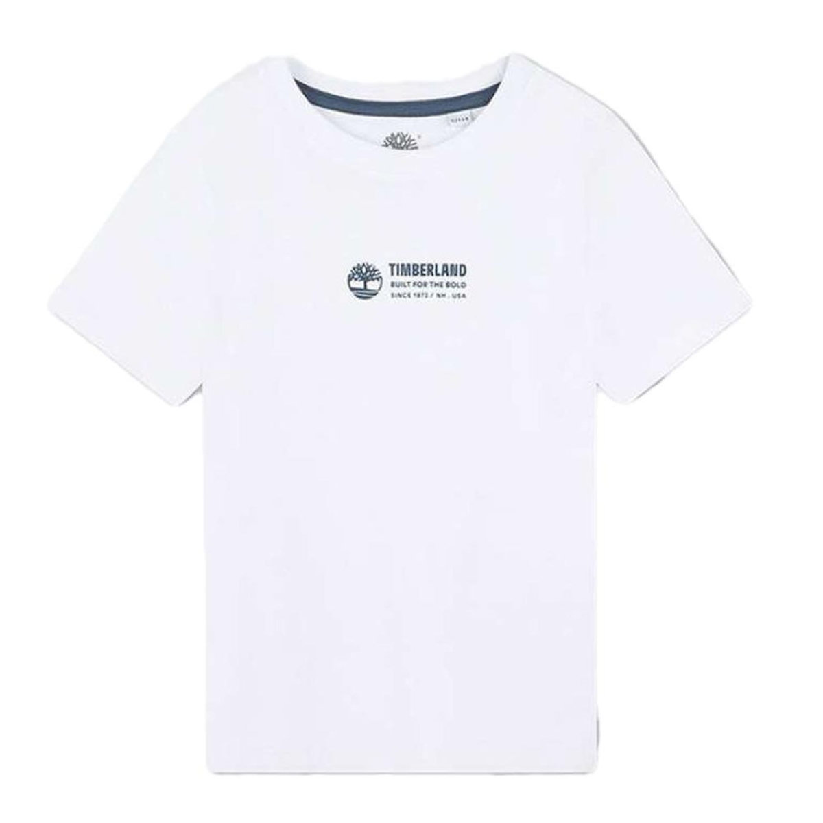 TIMBERLAND T shirt  Garçon Timberland T60084