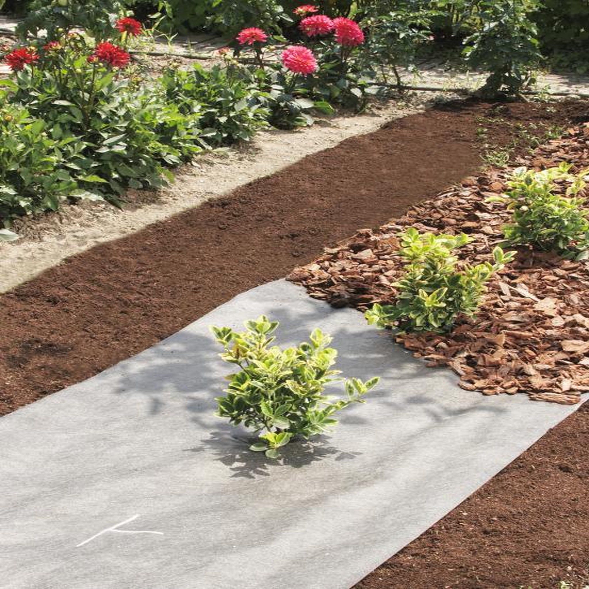 Nortene Nappe de jardinage 1 x 10 TERRATEX