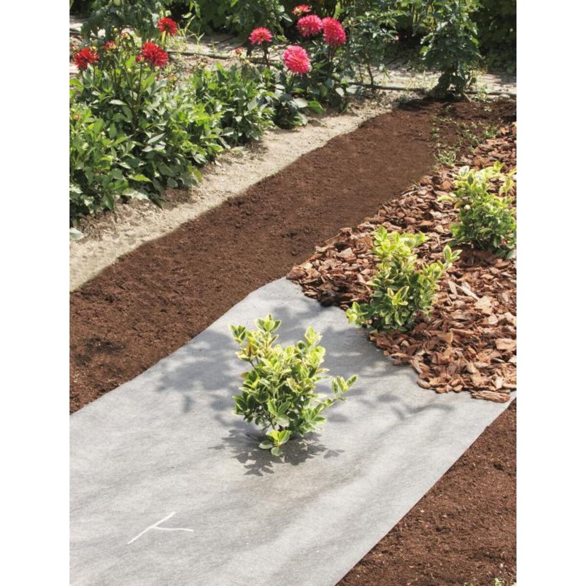 Nortene Nappe de jardinage 1 x 10 TERRATEX