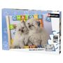 Voir la diapositive 5 : RAVENSBURGER Puzzles 150 pièces Nathan Collection