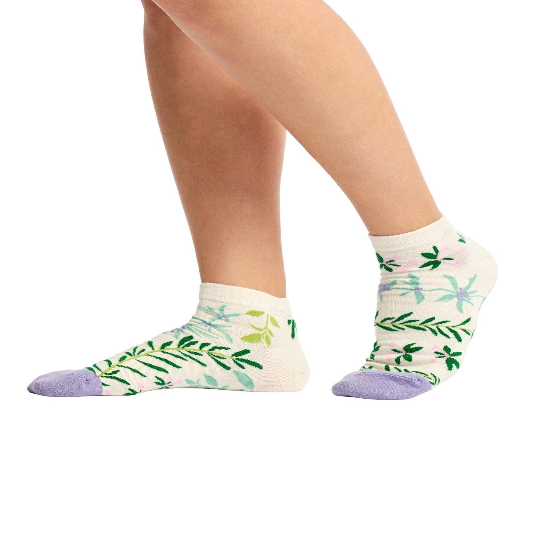 Voir la diapositive 3 : DEDOLES Socquettes herbes de jardin
