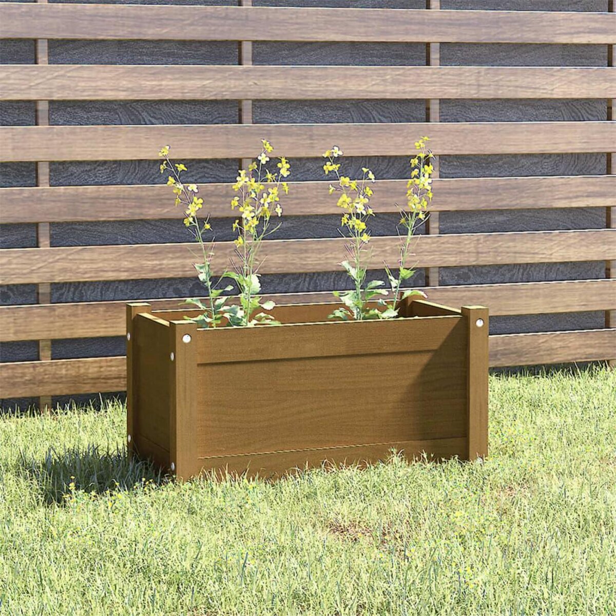 VIDAXL Jardiniere d'exterieur Marron miel 60x31x31 cm Bois de pin