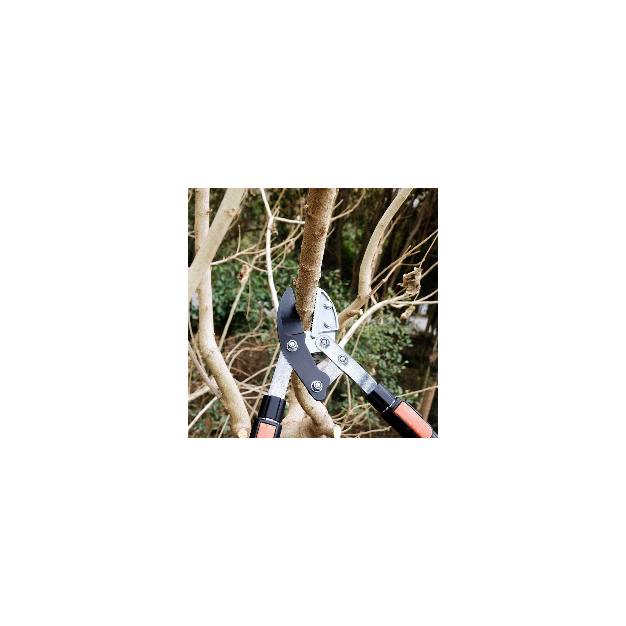 Voir la diapositive 3 : SUAN Coupe branche lame enclume - Suan - Manche télescopique - Dimensions : 87 x 34 cm