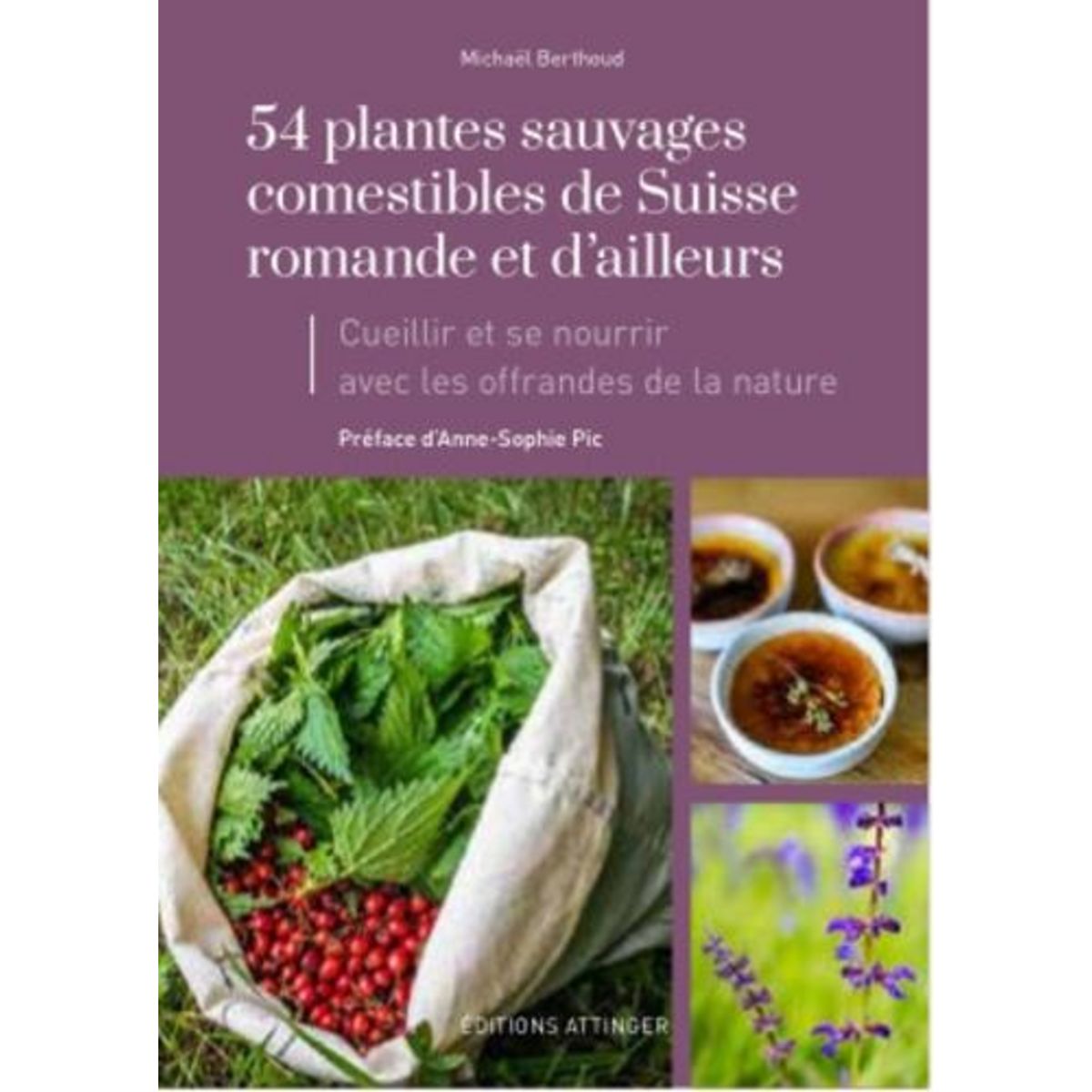 54 PLANTES SAUVAGES COMESTIBLES, Berthoud Michaël