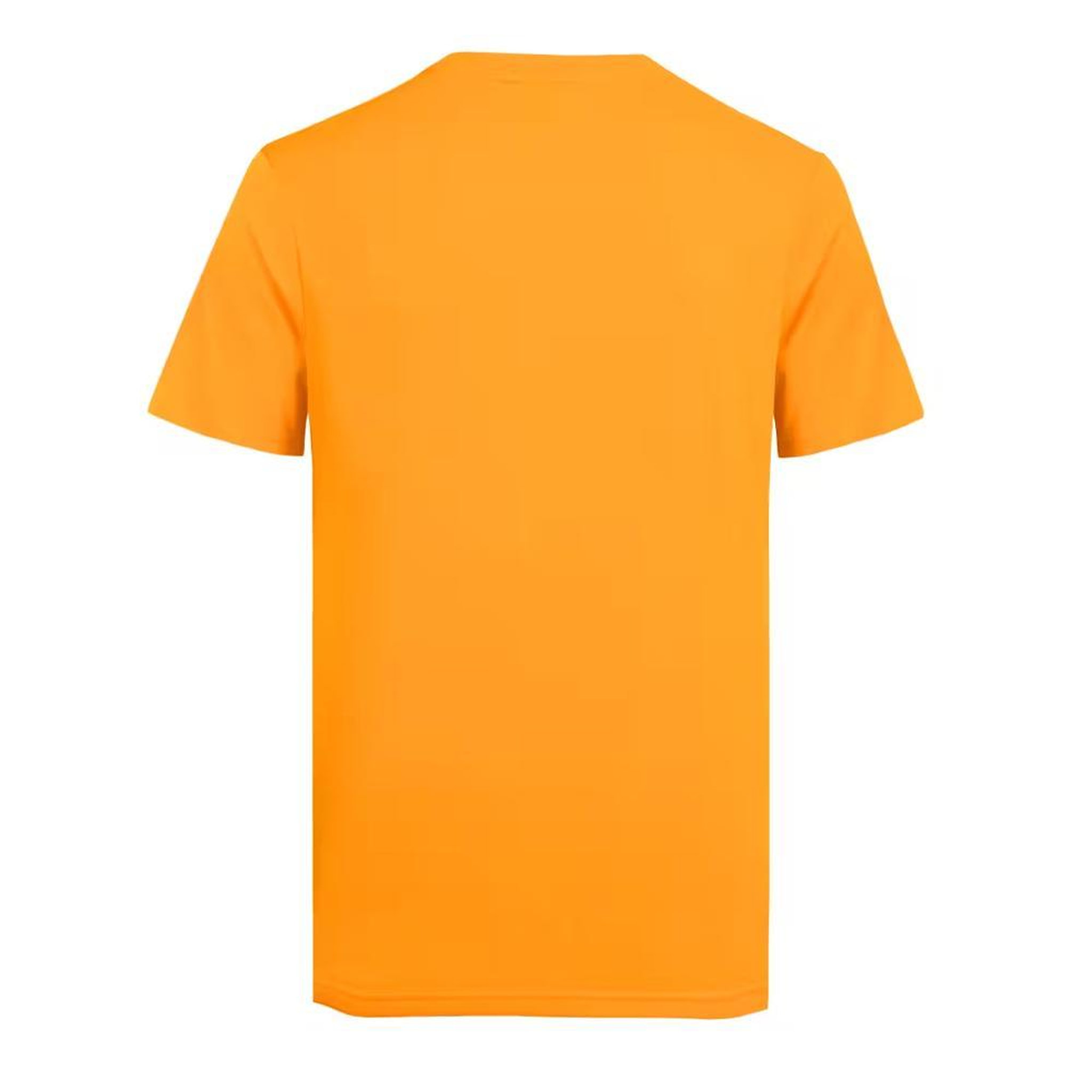 Voir la diapositive 2 : GOTCHA T-shirt Orange Homme Gotcha Fishman