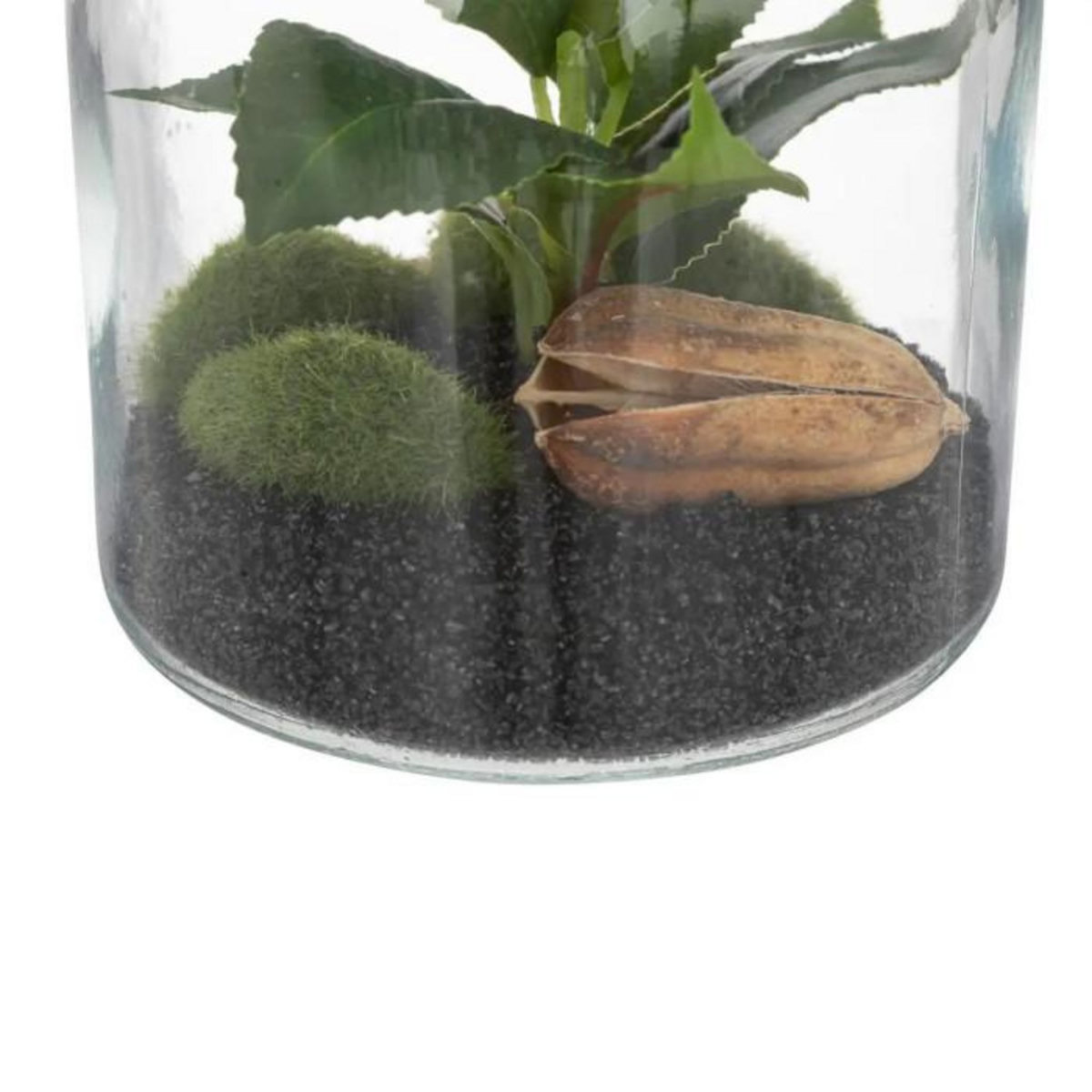 ATMOSPHERA Terrarium en Verre  Bota  19cm Transparent
