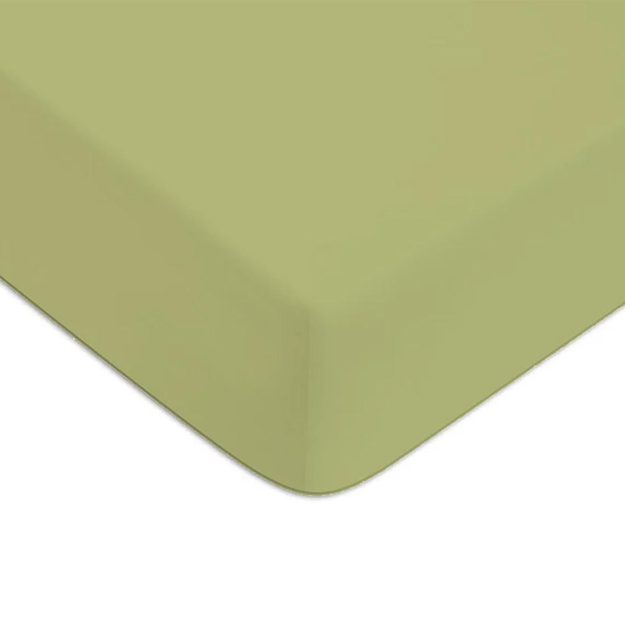 Voir la diapositive 1 : FUTURE HOME Drap housse en coton 57 fils uni bonnet 25cm