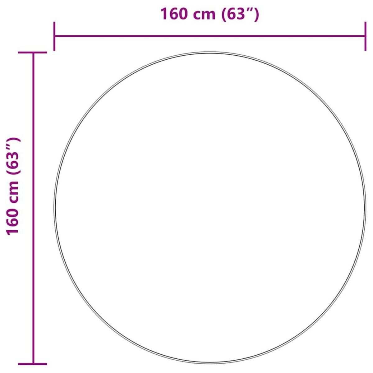 VIDAXL Tapis Shaggy a poils longs NAVARRA gris fonce 160x160 cm